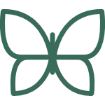 Was dein Körper dir sagt