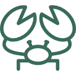 Haut, Haare & Nägel