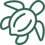 Stress & mentale Stärke