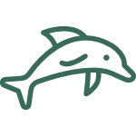 Kraft der Gemeinschaft