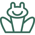 Energielevel steigern